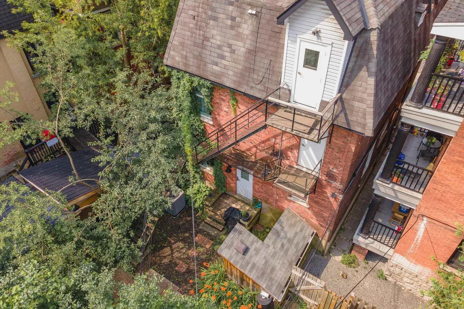 229 Charlotte Street photo 2
