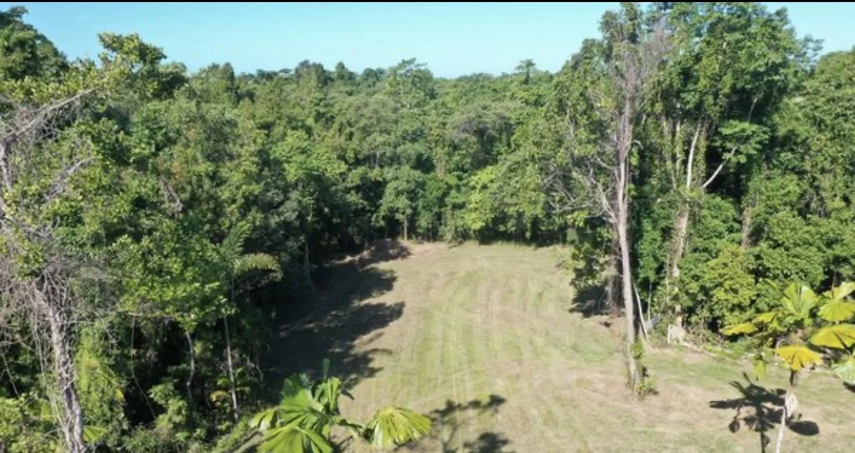 Additional image 7 of 1377 El Arish Mission Beach Rd, Mission Beach QLD 4852