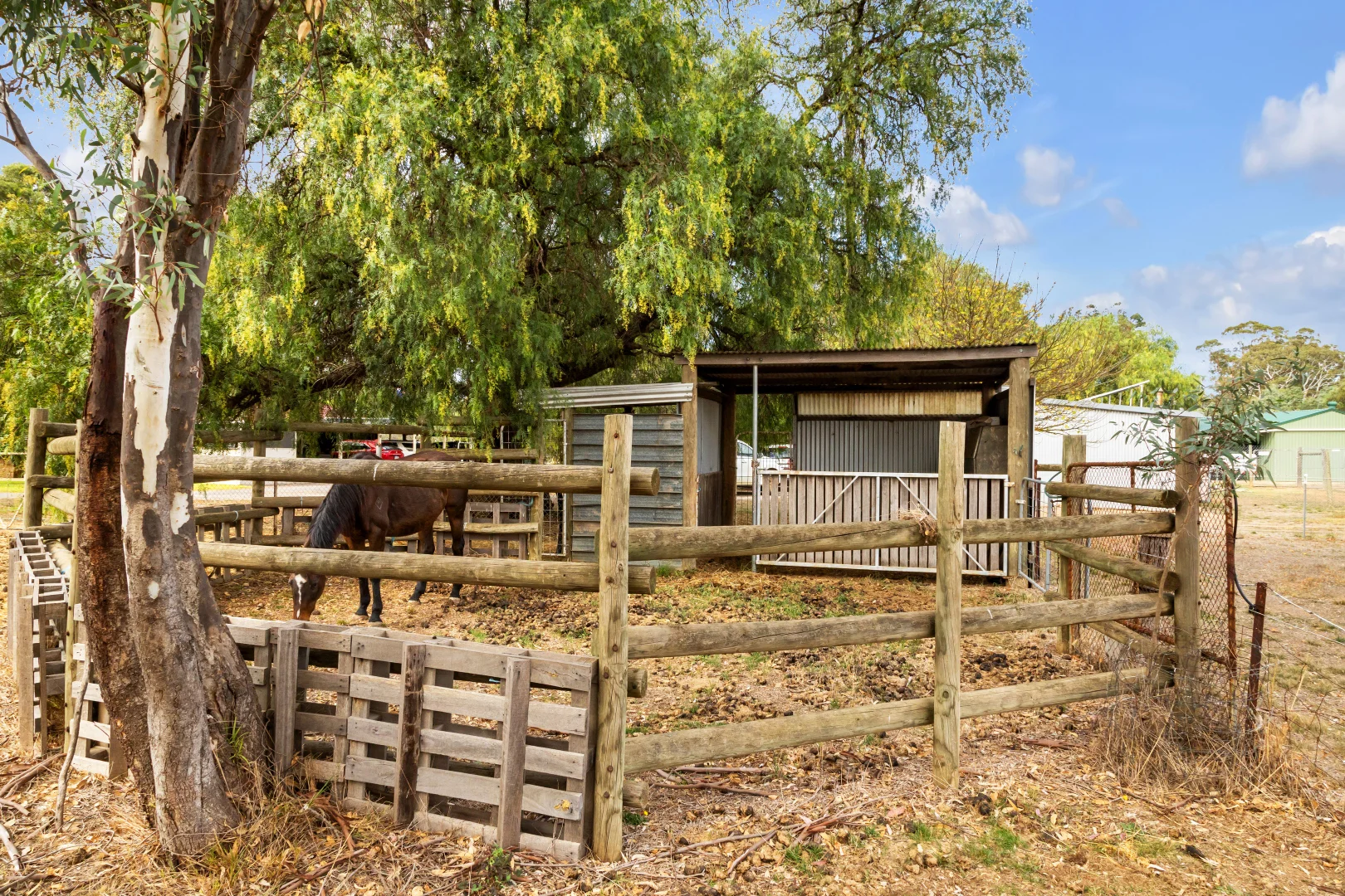 Additional image 18 of 487 Sunraysia Highway, Avoca VIC 3467