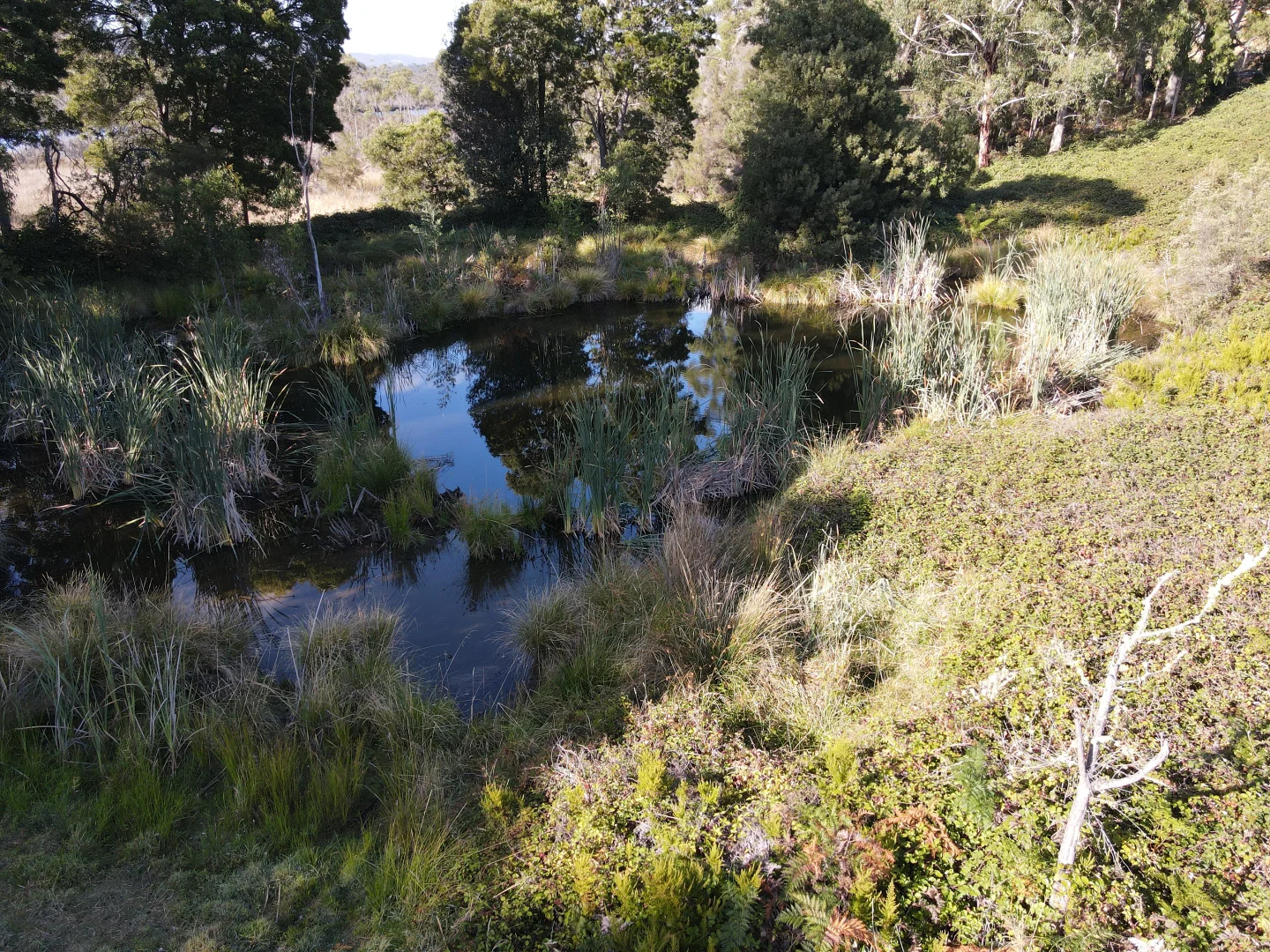 Additional image 5 of Lot 1, Huon Highway, Franklin TAS 7113