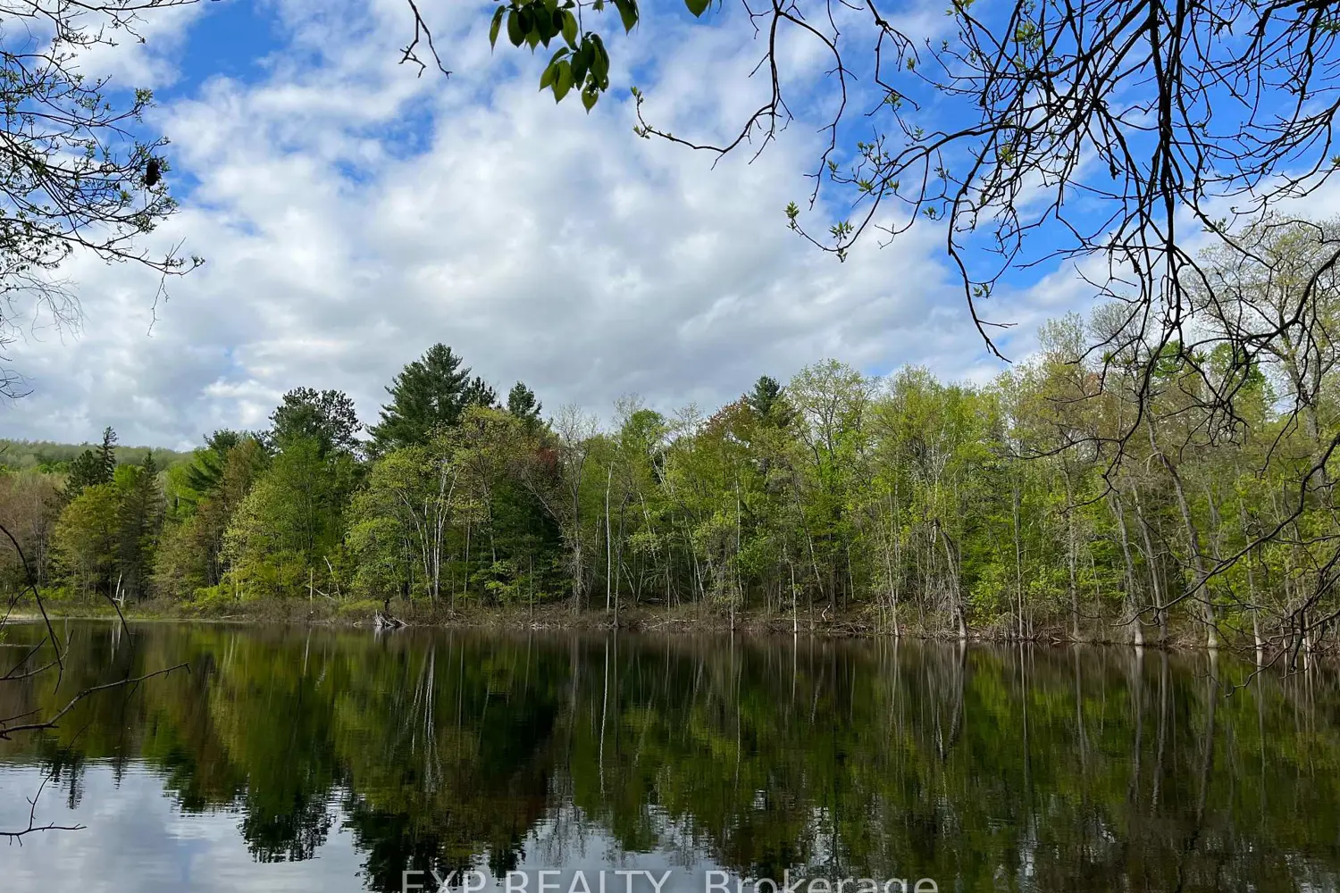 Additional image 2 of Lot 4 Sandy Shores Trail