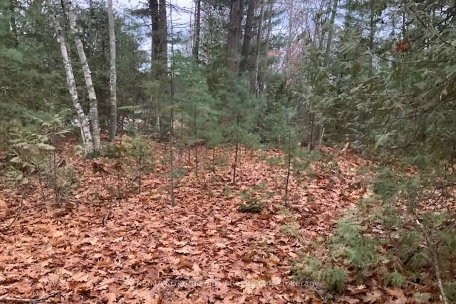 Additional image 4 of 46 Oakwood Avenue