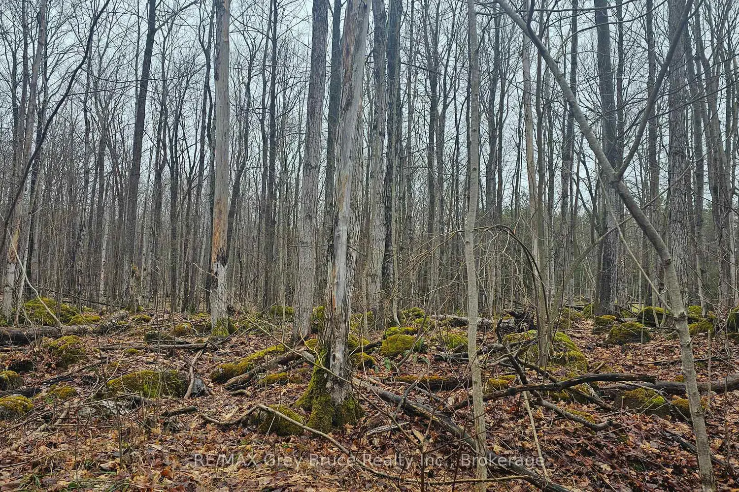 Additional image 11 of Pt Lt 1 Concession Rd 21 Road