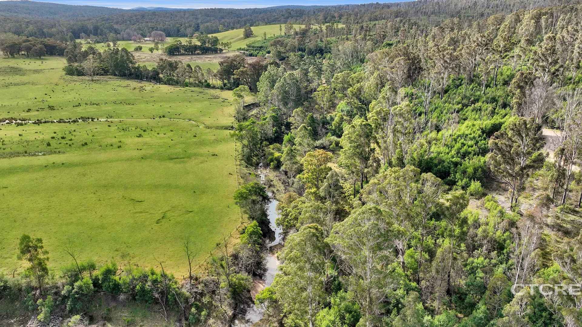 Additional image 10 of 1664 Wangarabell Road, Wangarabell VIC 3891