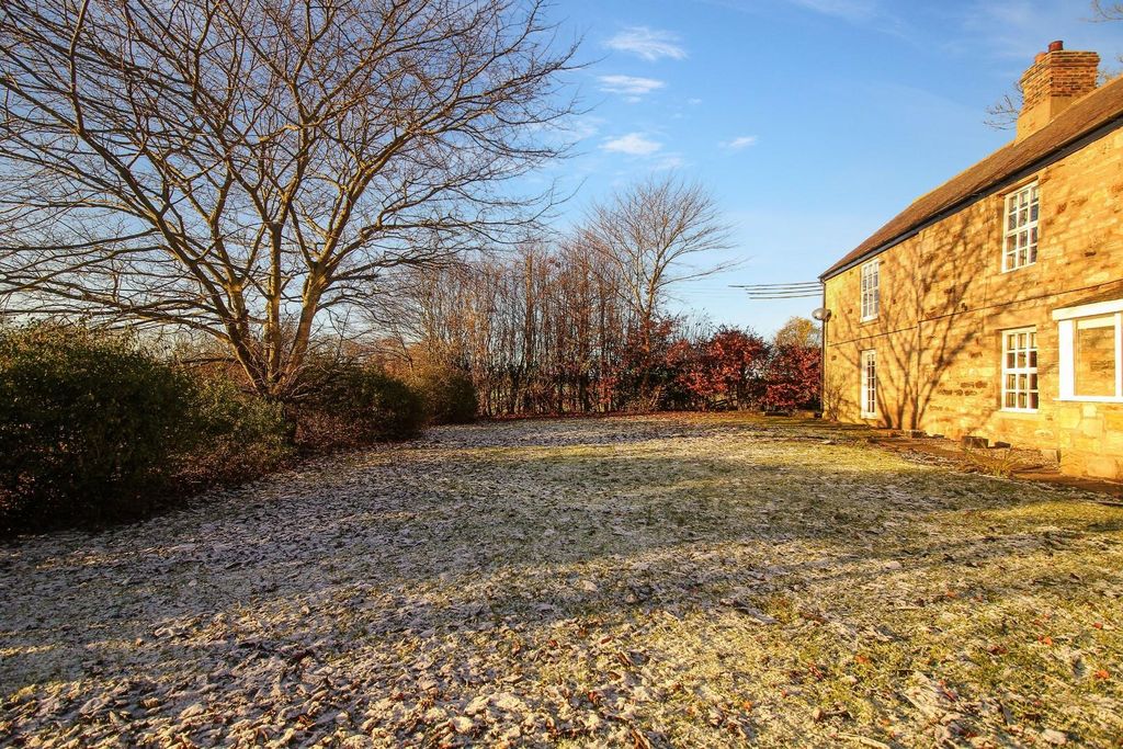 Additional image 10 of 4 bed detached house to rentMitford, Morpeth NE61