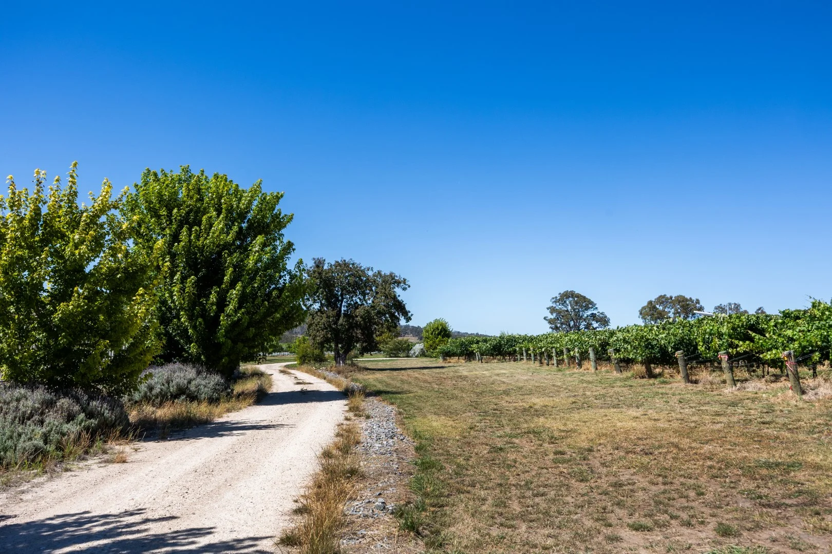 Additional image 7 of 162 Jungfer Road, Charleston SA 5244