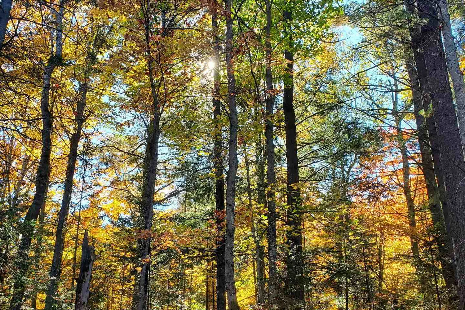 Additional image 9 of 0 Bear Cave Road