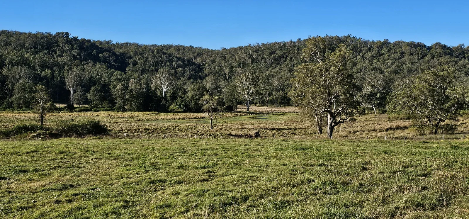 Additional image 15 of 2400 Busbys Flat Road, Busbys Flat NSW 2469