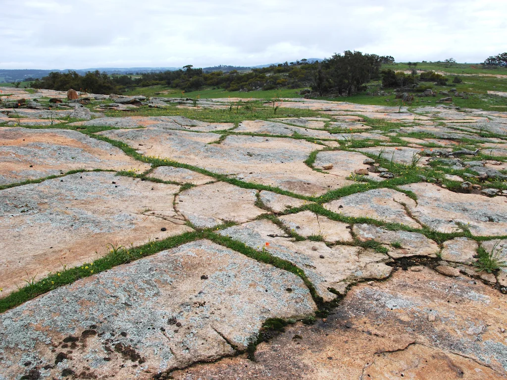 Additional image 29 of Lot 12 Young Road, Gwambygine WA 6302