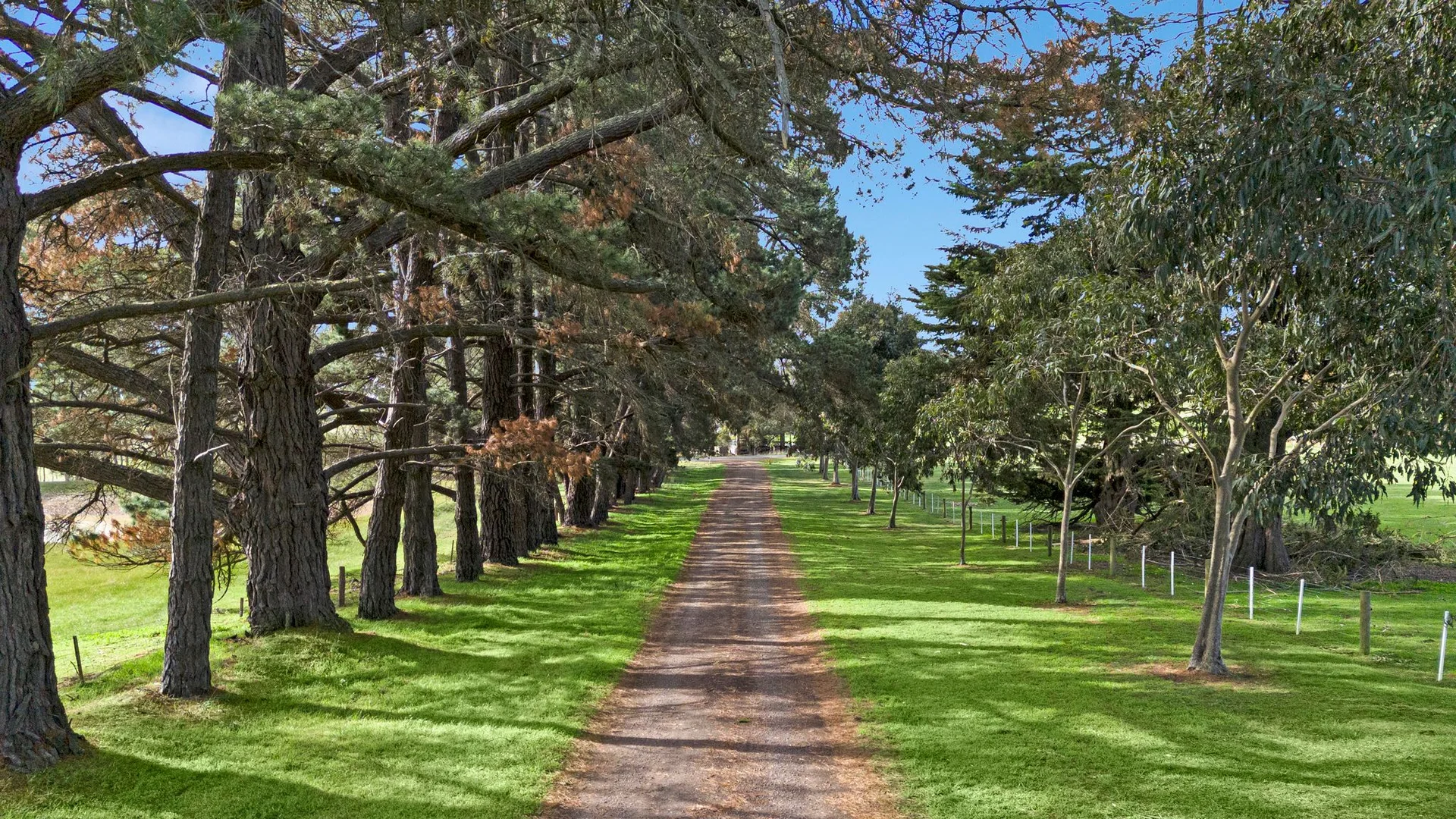 Additional image 19 of 196 Hamilton-Chatsworth Road, Hamilton VIC 3300