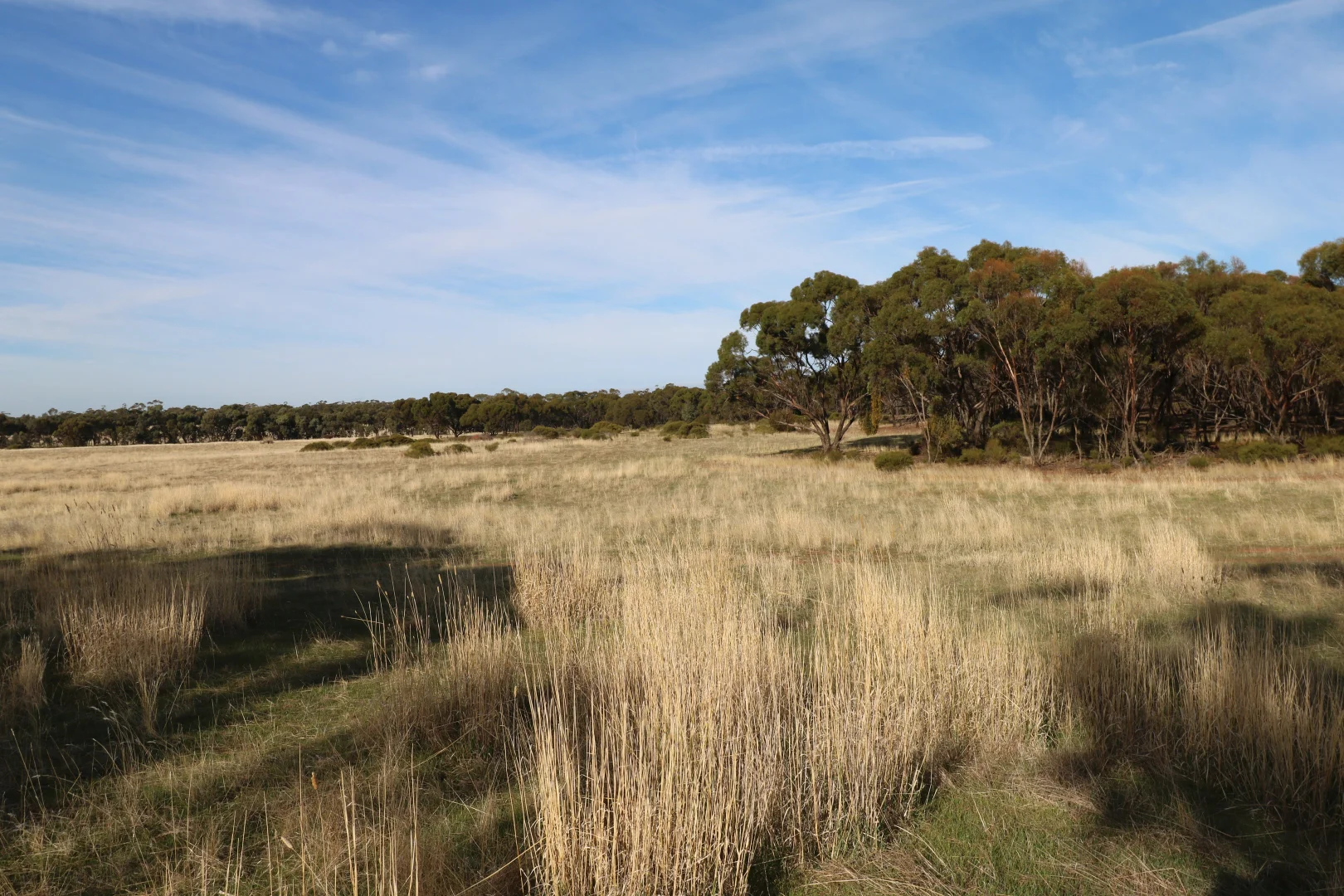 Additional image 28 of 84A Woolshed Flat Road, Wychitella VIC 3525