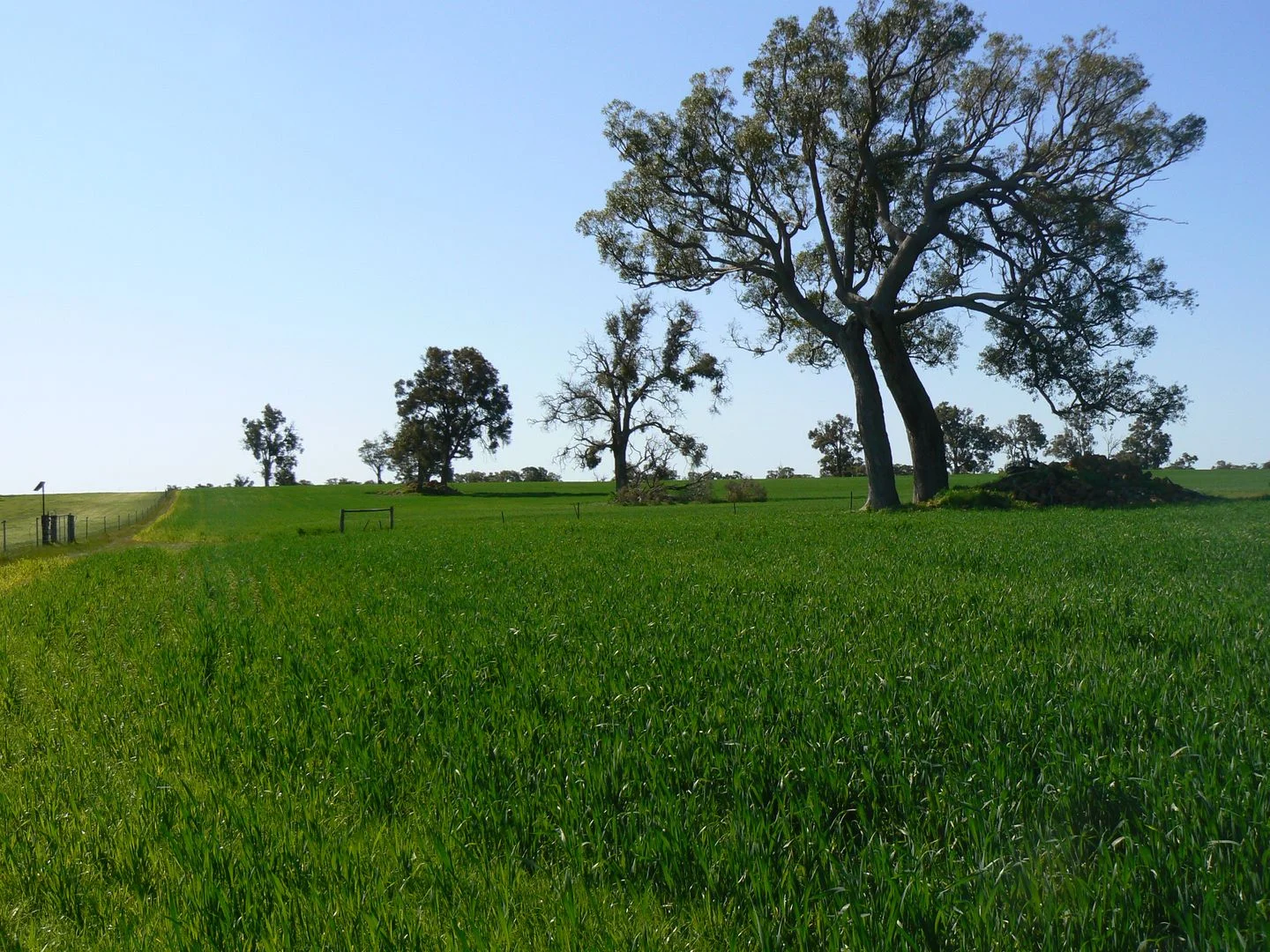 Additional image 6 of Lot/6 Six Mile Road, Mayanup WA 6244