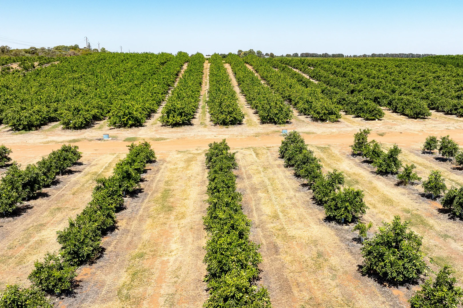 Additional image 5 of 183 Quast Road, Loxton SA 5333