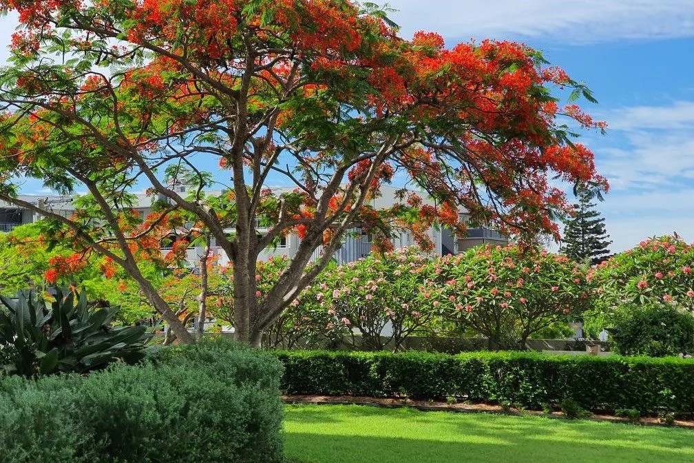 Additional image 6 of UNIT 1/10 PARK AVENUE, East Brisbane QLD 4169