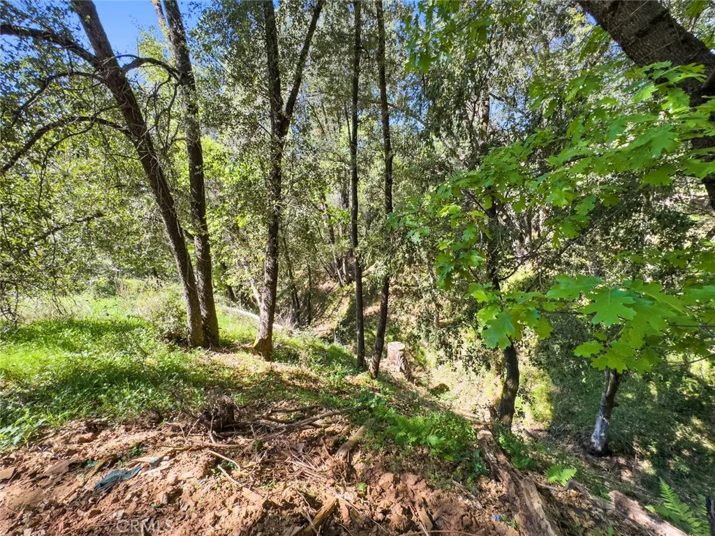 Additional image 56 of 22666 Lower Quail Mine Road, Sonora, CA 95370