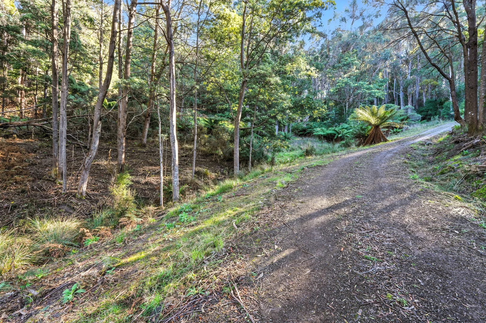 Additional image 7 of 50 McDowall Street, Middleton TAS 7163