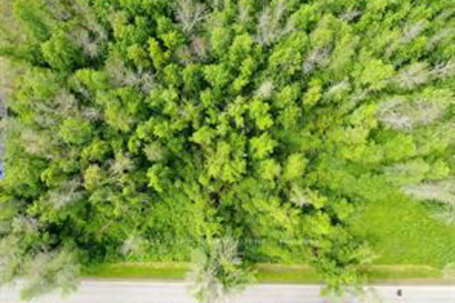 Additional image 2 of Lot 14 Willbruck Drive