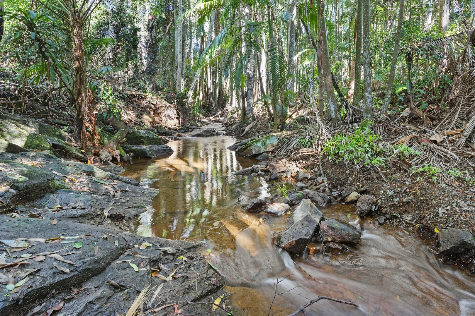 Additional image 3 of 28a Geissmann Street, Tamborine Mountain QLD 4272