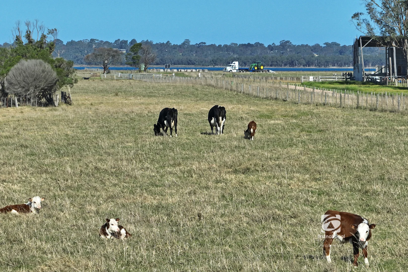 Additional image 6 of 159 Bayview Road, Broadlands VIC 3875