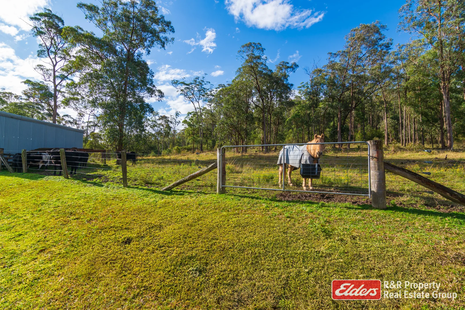 Additional image 19 of 4 Bede Street, Stroud NSW 2425