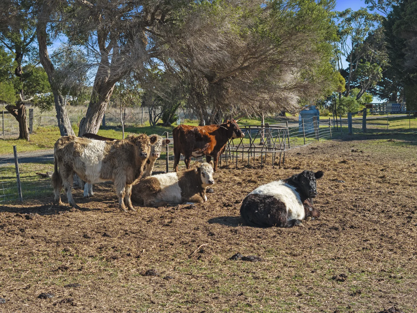 Additional image 23 of 422 Ventnor Road, Ventnor VIC 3922