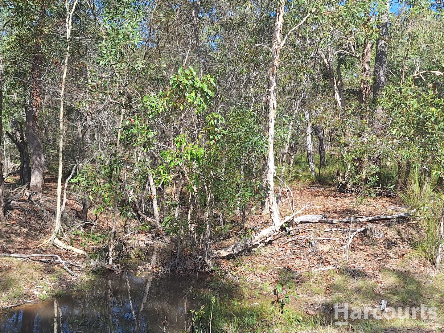 Additional image 4 of 8 Ranch Park Drive, Pacific Haven QLD 4659