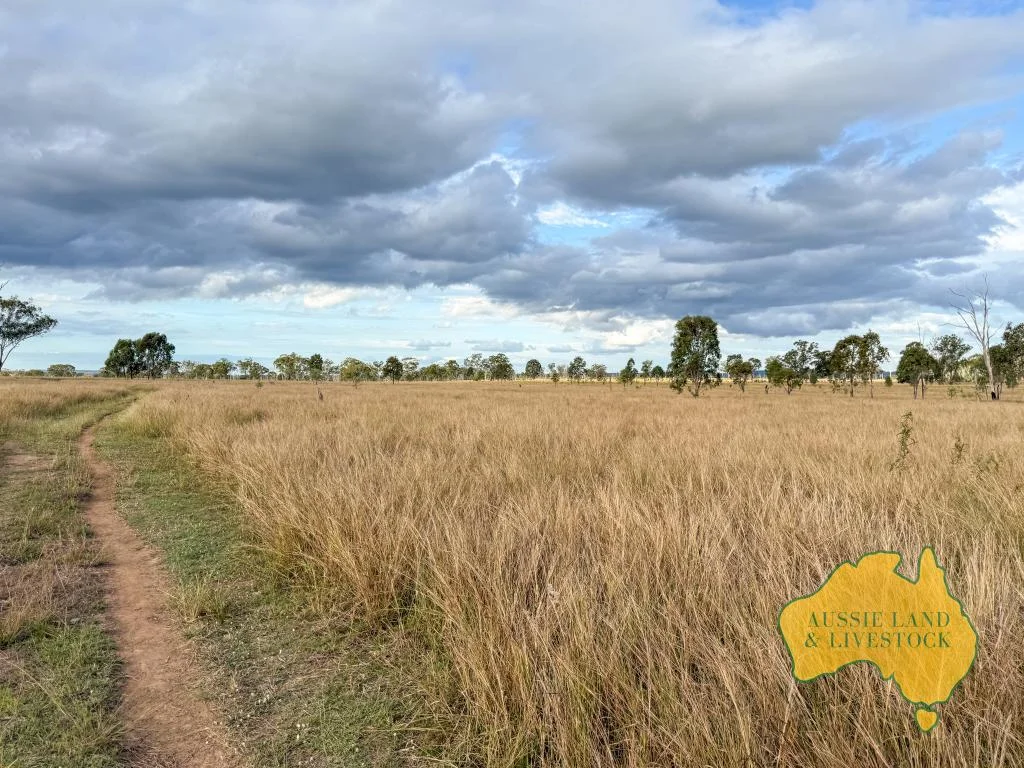Additional image 44 of 8 SCREENING PLANT ROAD, Cynthia QLD 4627