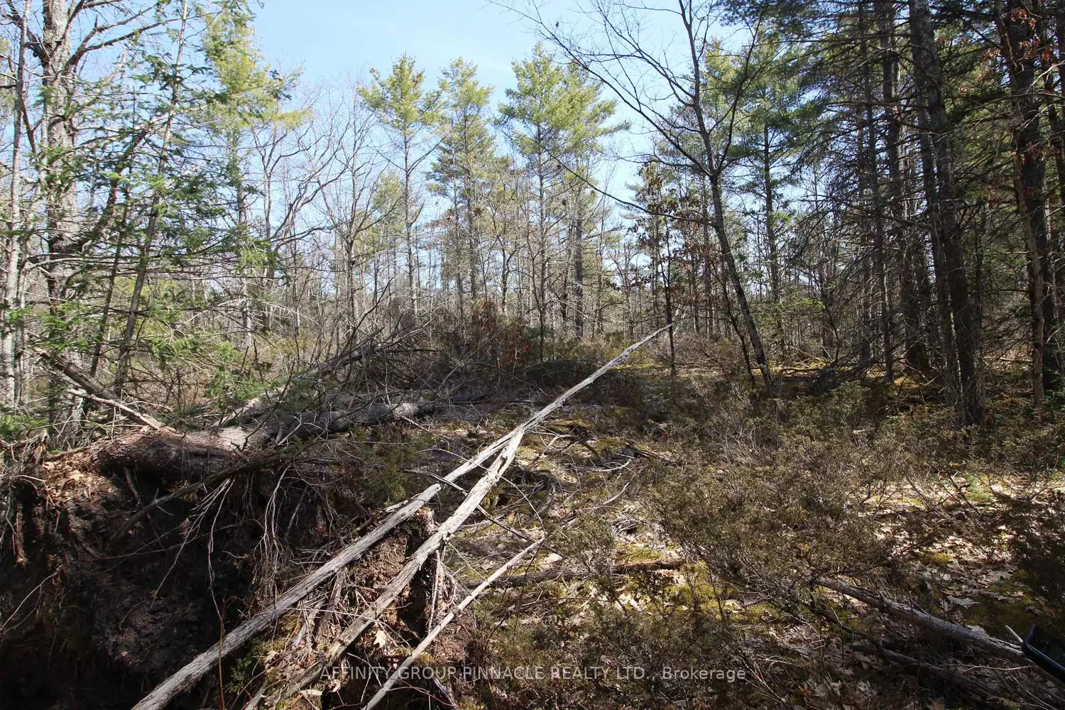 Additional image 13 of Lot 15 Concession 9