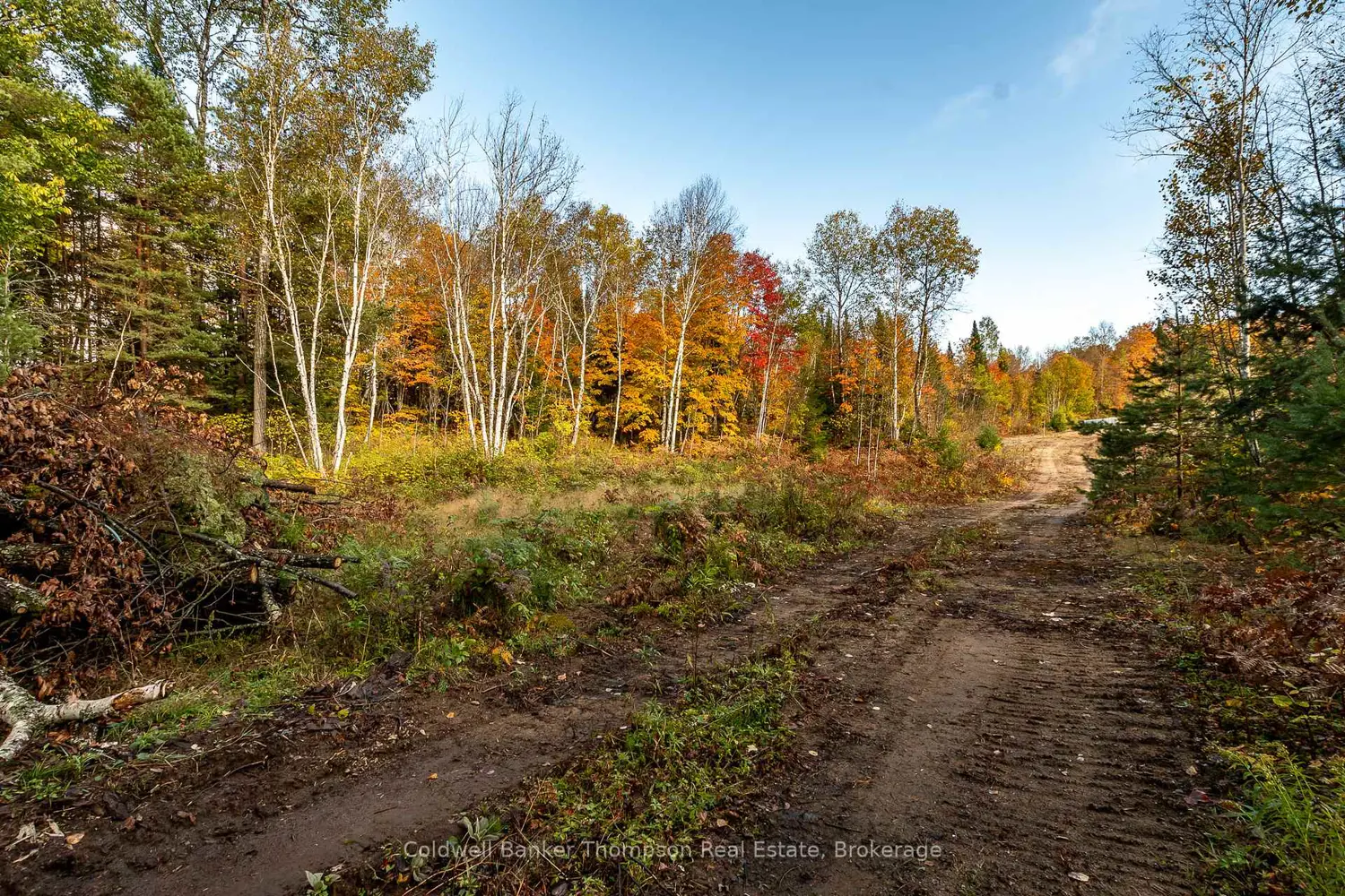 Additional image 7 of Lot 1 Emsdale Lake Road