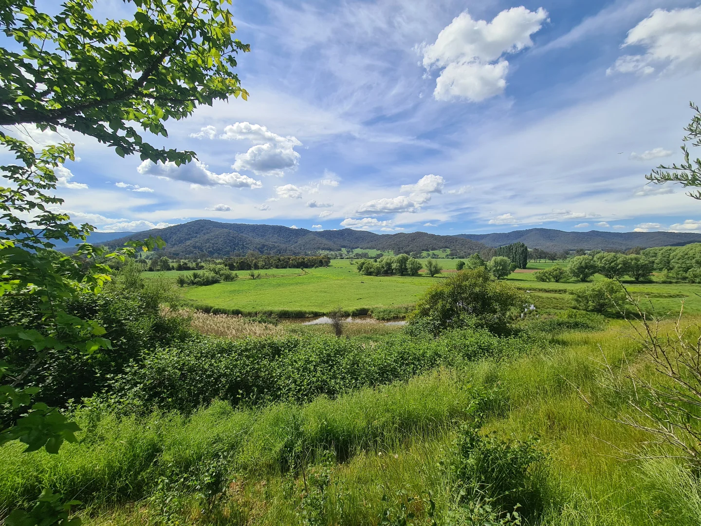 Additional image 13 of 3806 Omeo Hwy, Eskdale VIC 3701