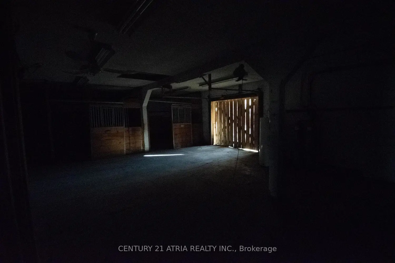 Additional image 19 of 119 Knapp Street