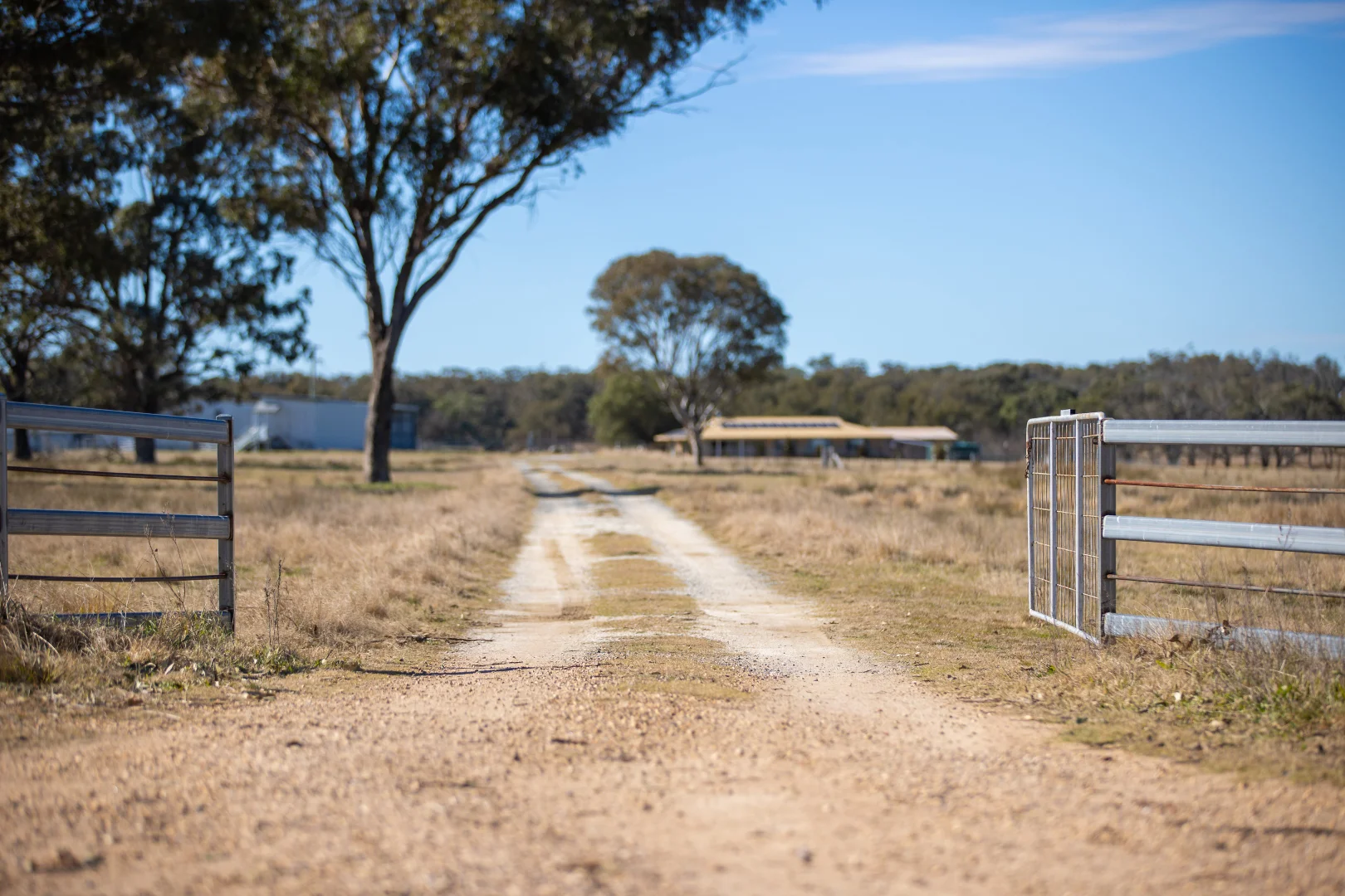 Additional image 2 of 214 Tarban Loop Road, Tenterfield NSW 2372