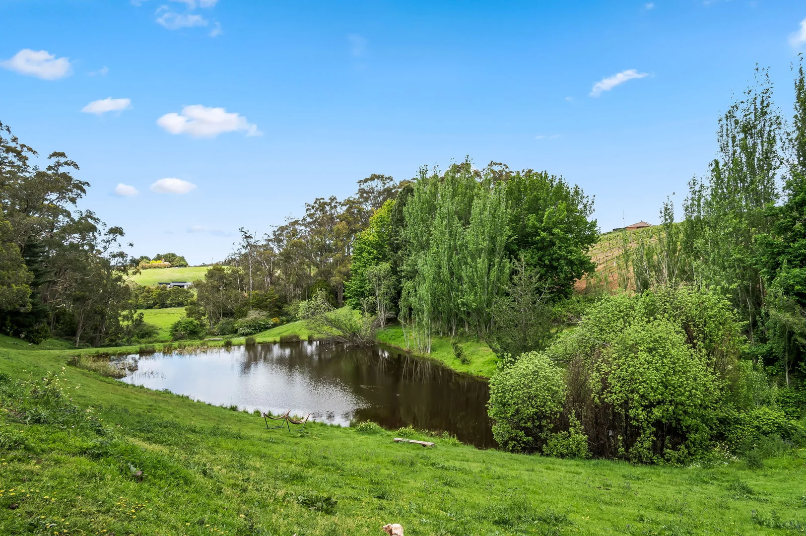 Additional image 33 of 32 Drivers Road, Summertown SA 5141