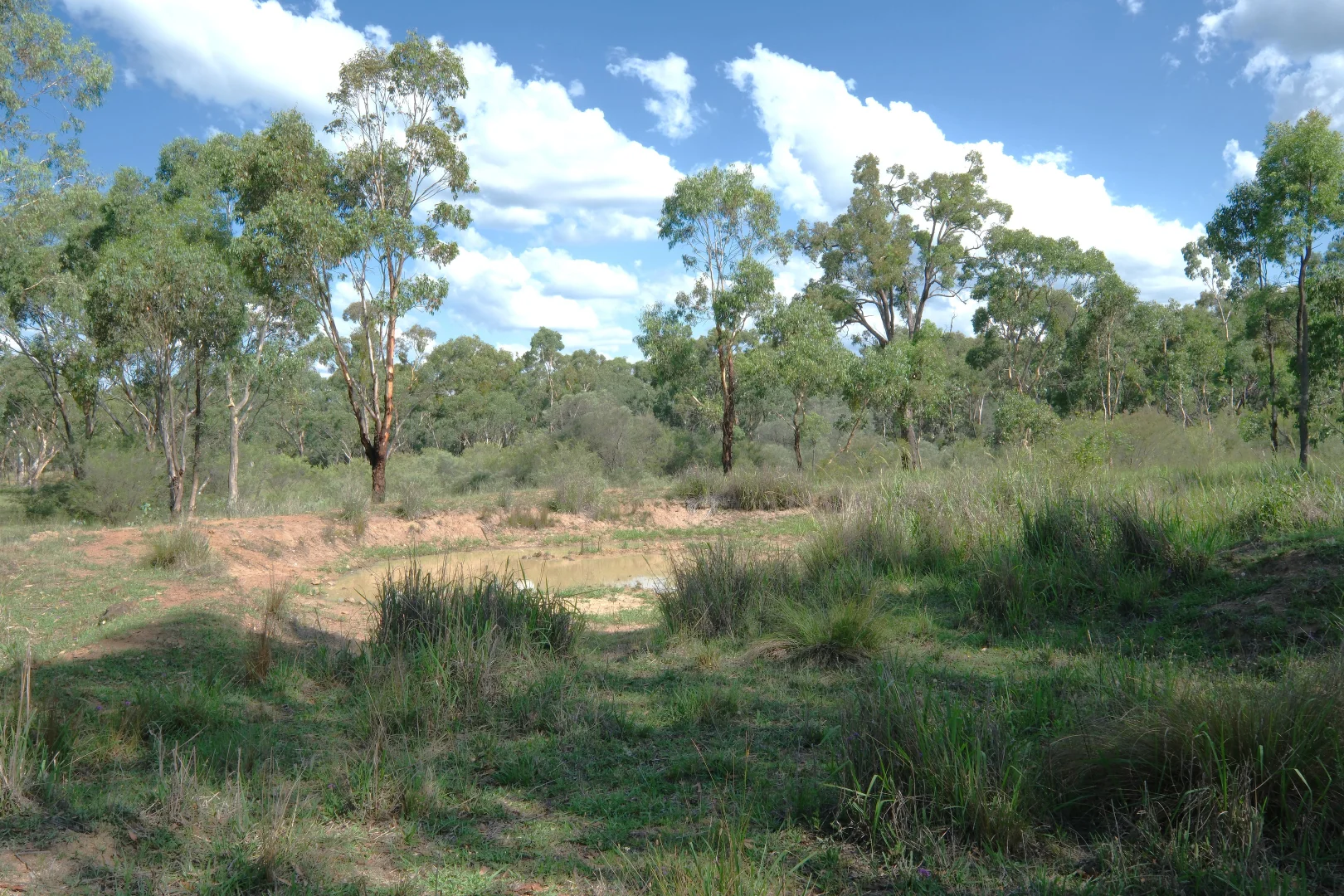 Additional image 7 of 1380 Elsmore Road (Elsmore), Inverell NSW 2360