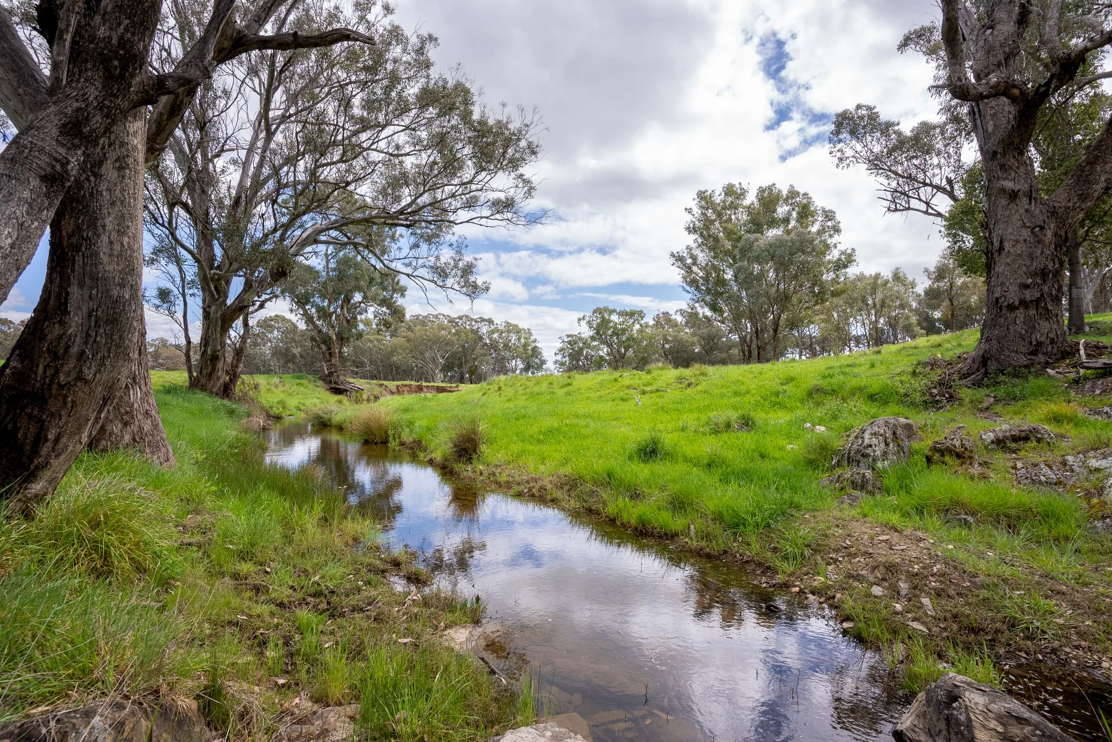 Additional image 11 of 'Cronga Peak' 157 Cronga Peak Road, Molong NSW 2866