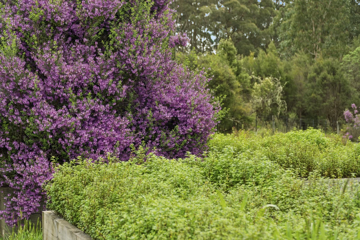 Additional image 12 of 640 Forrest-Apollo Bay Road, Barramunga VIC 3249