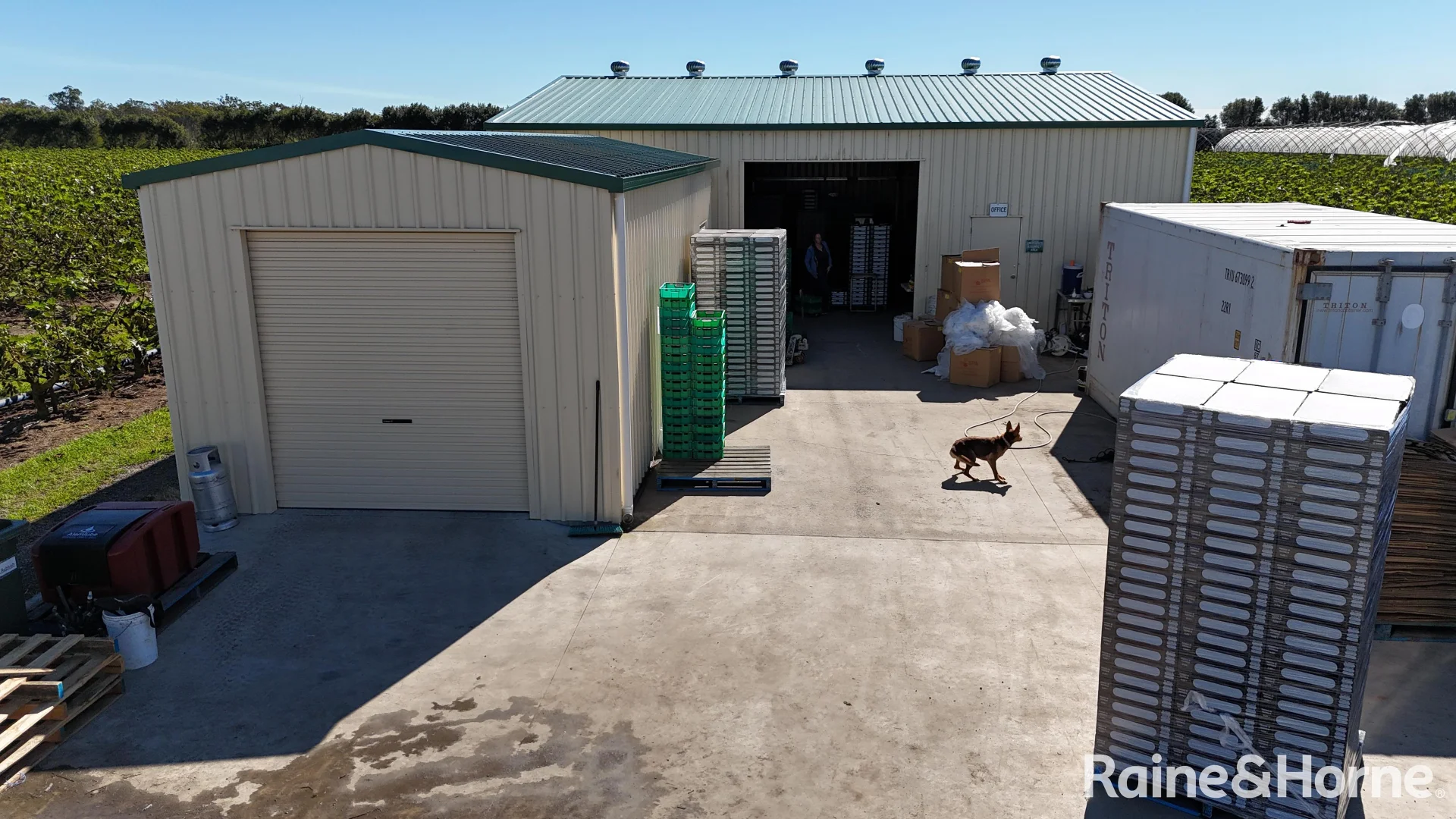 Additional image 13 of 135 Newlands Road, North Gregory QLD 4660