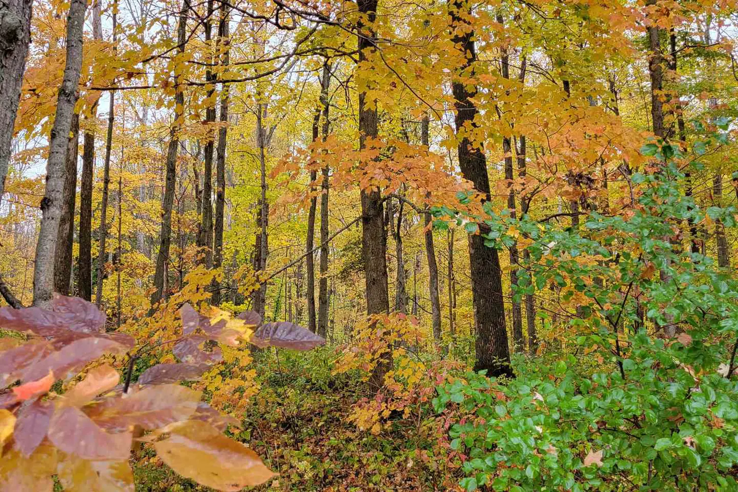 Additional image 15 of Lot 37 Con 2 Ndr