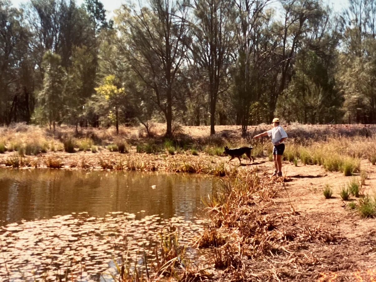 Additional image 3 of Gurulmundi QLD 4415