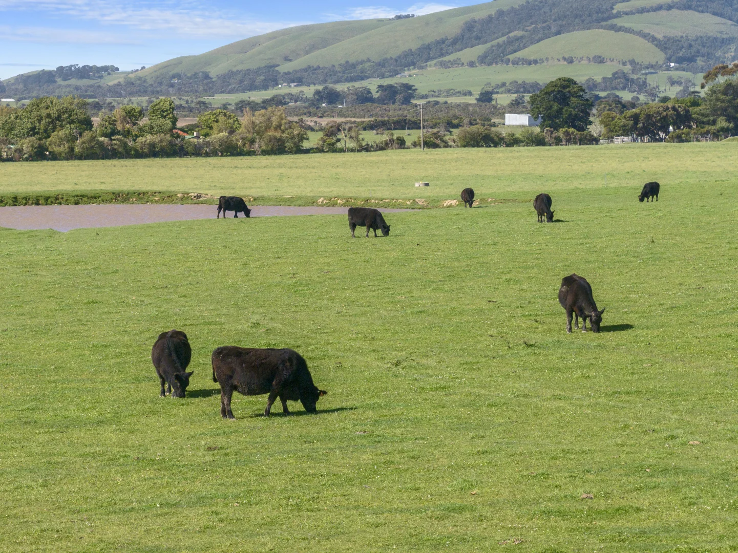 Additional image 6 of 280 Woolamai Road, Bass VIC 3991