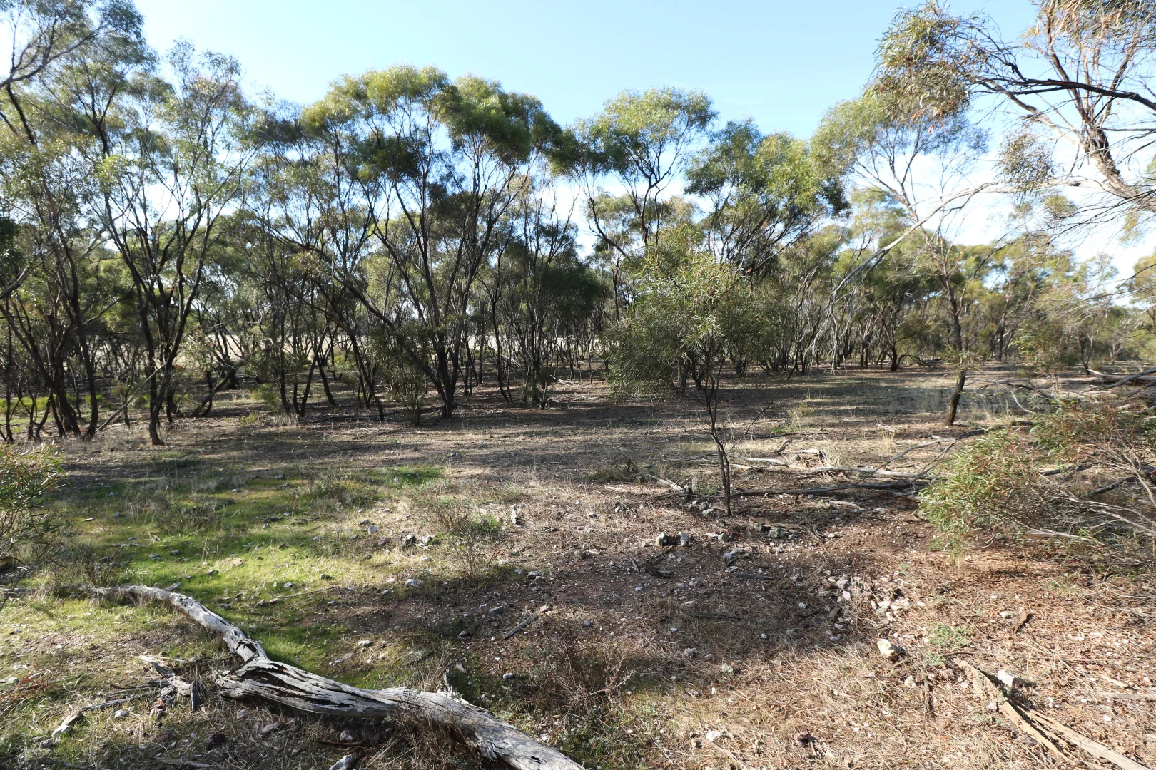 Additional image 29 of 84A Woolshed Flat Road, Wychitella VIC 3525