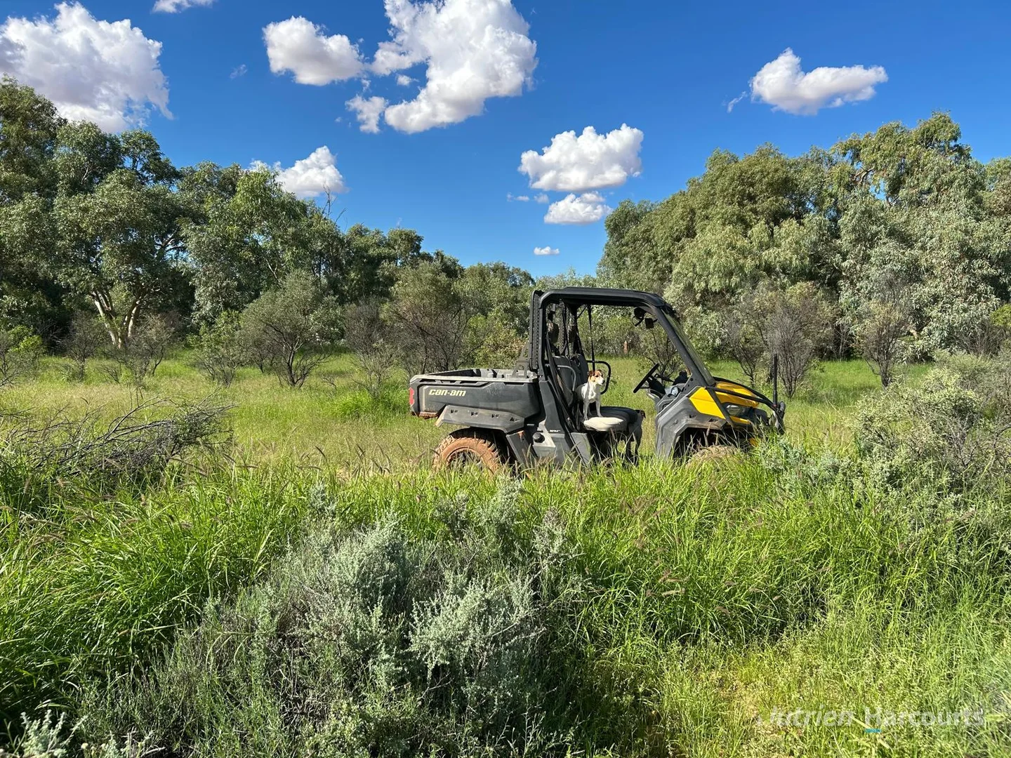 Additional image 6 of * Kayrunnera Station, 1944 Kayrunnera Road, Mutawintji NSW 2880