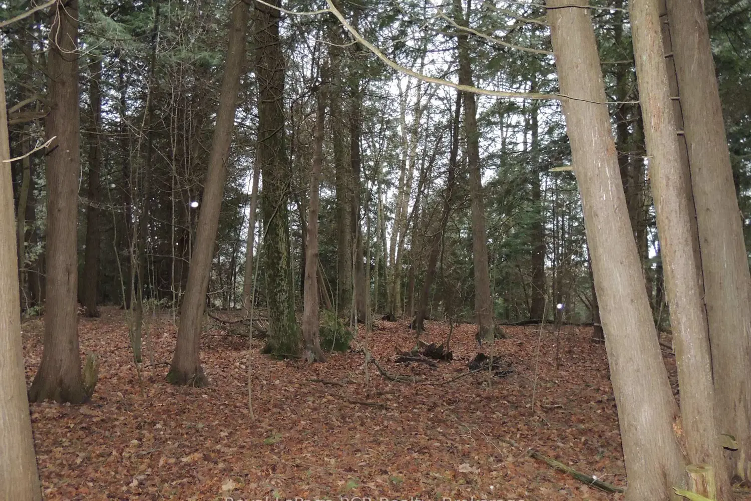 Additional image 4 of Ptlt 48 North Line