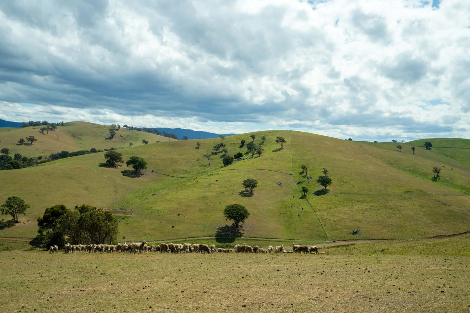 Additional image 15 of 6 Scott Road, Ensay VIC 3895