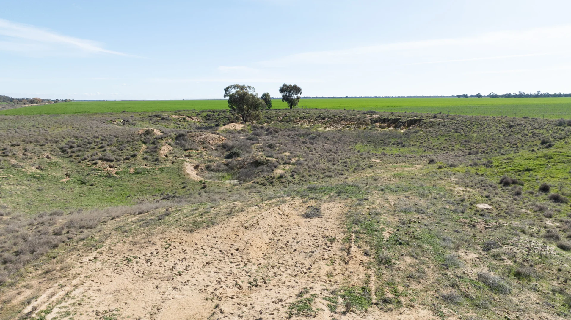 Additional image 24 of Smeatonvale Laterals Boree-Morago Rd, Deniliquin NSW 2710