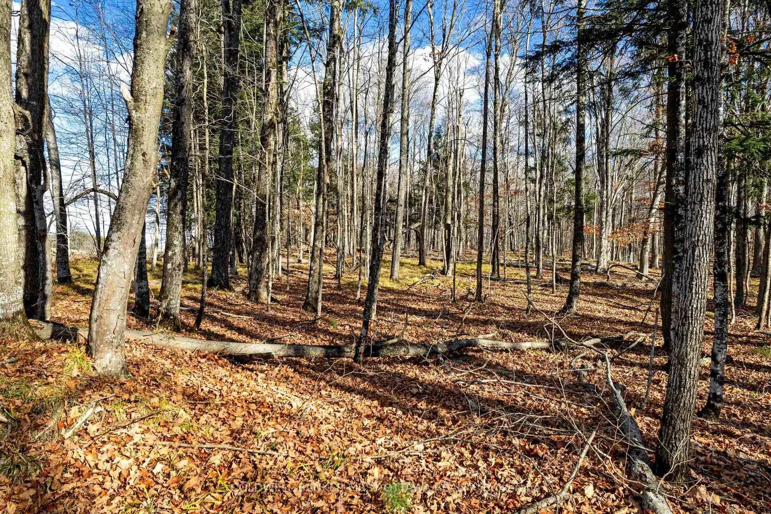 Additional image 4 of Pt 3-00 Herron Mills Road