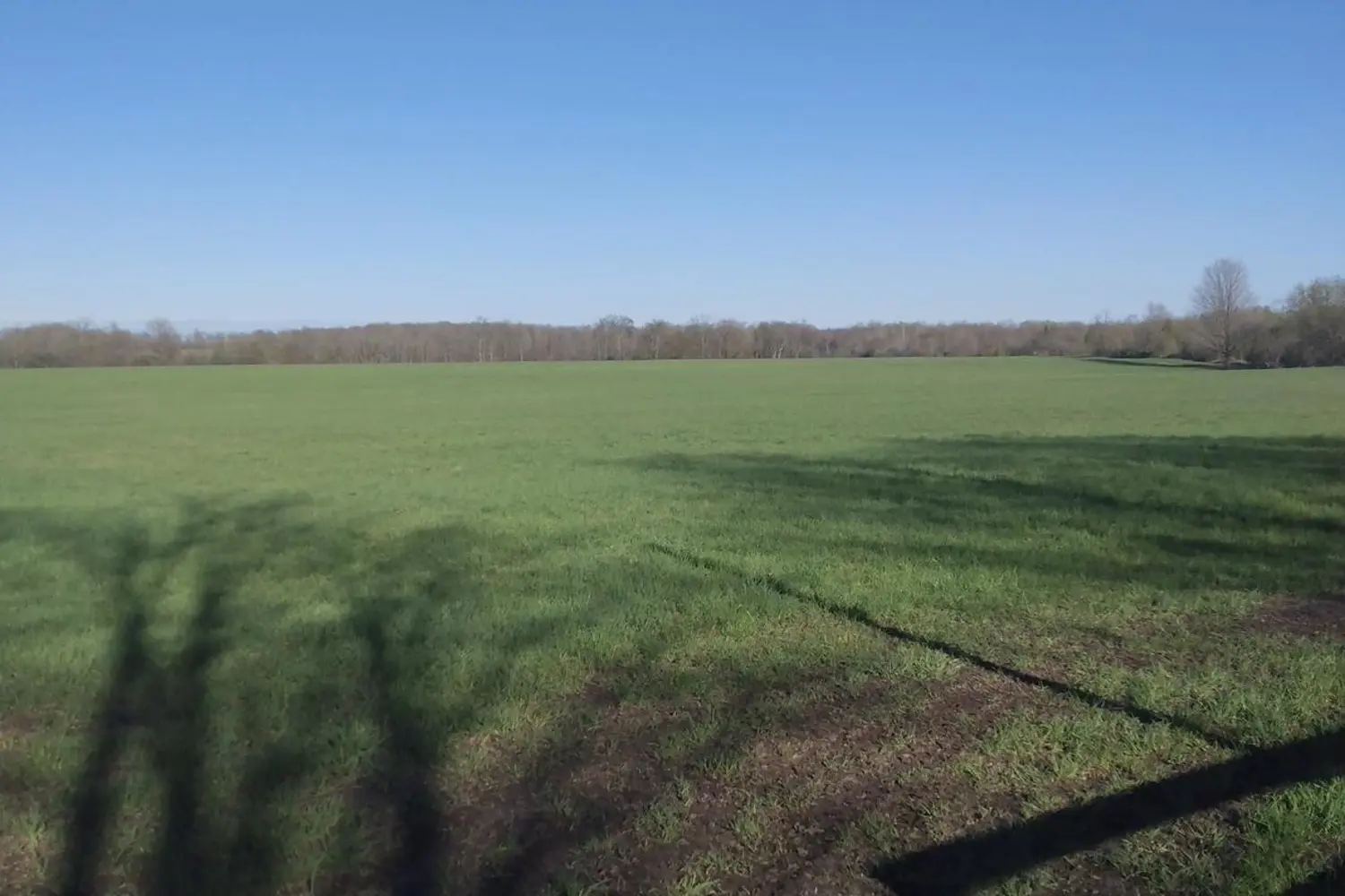 Additional image 4 of 323 Orange Corners Road