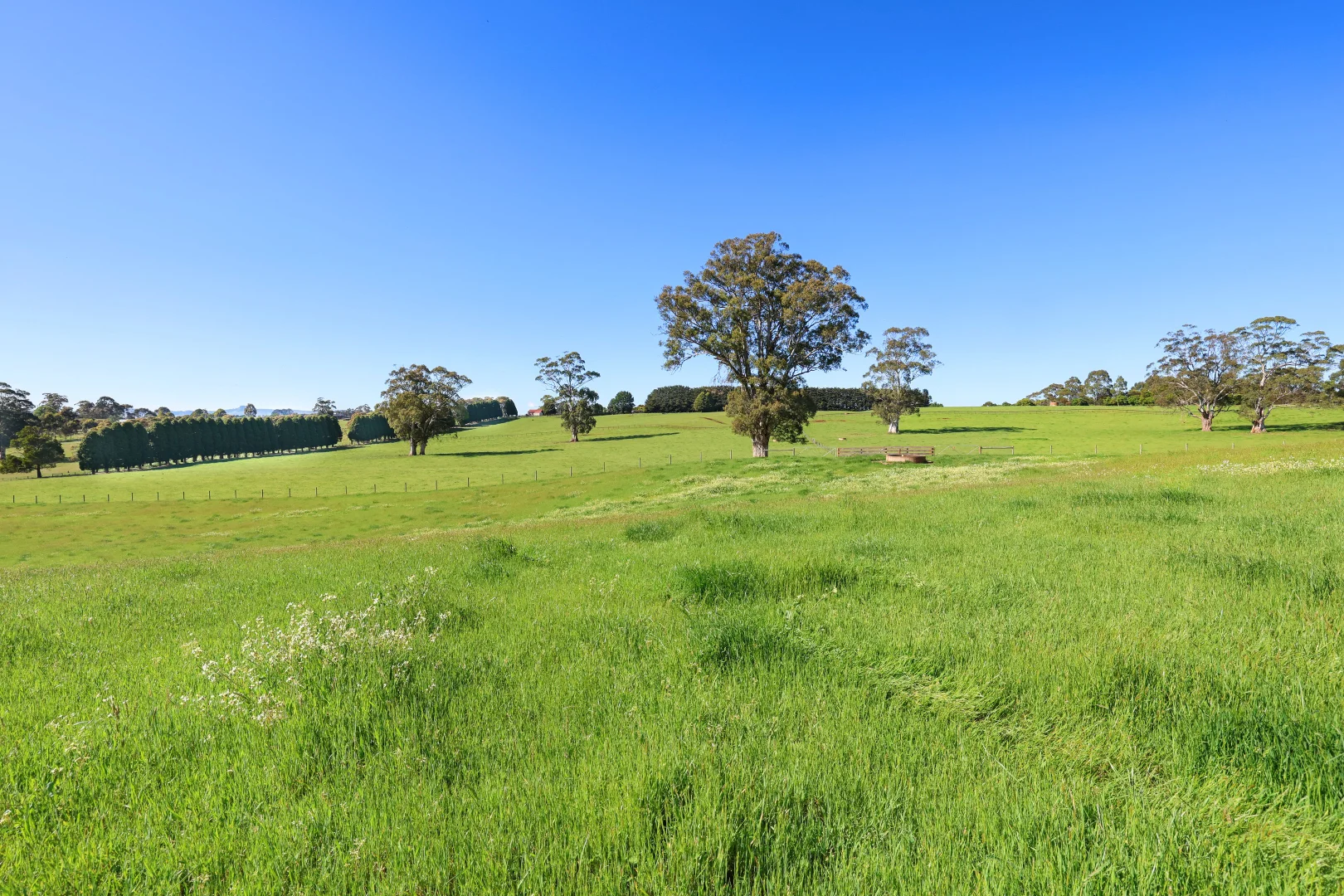 Additional image 21 of 935 Lardners Track, Warragul VIC 3820
