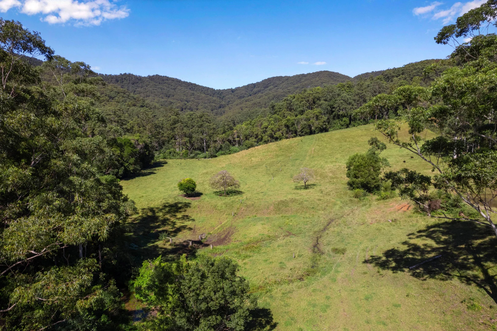 Additional image 40 of 721 Dairyville Rd, Upper Orara NSW 2450
