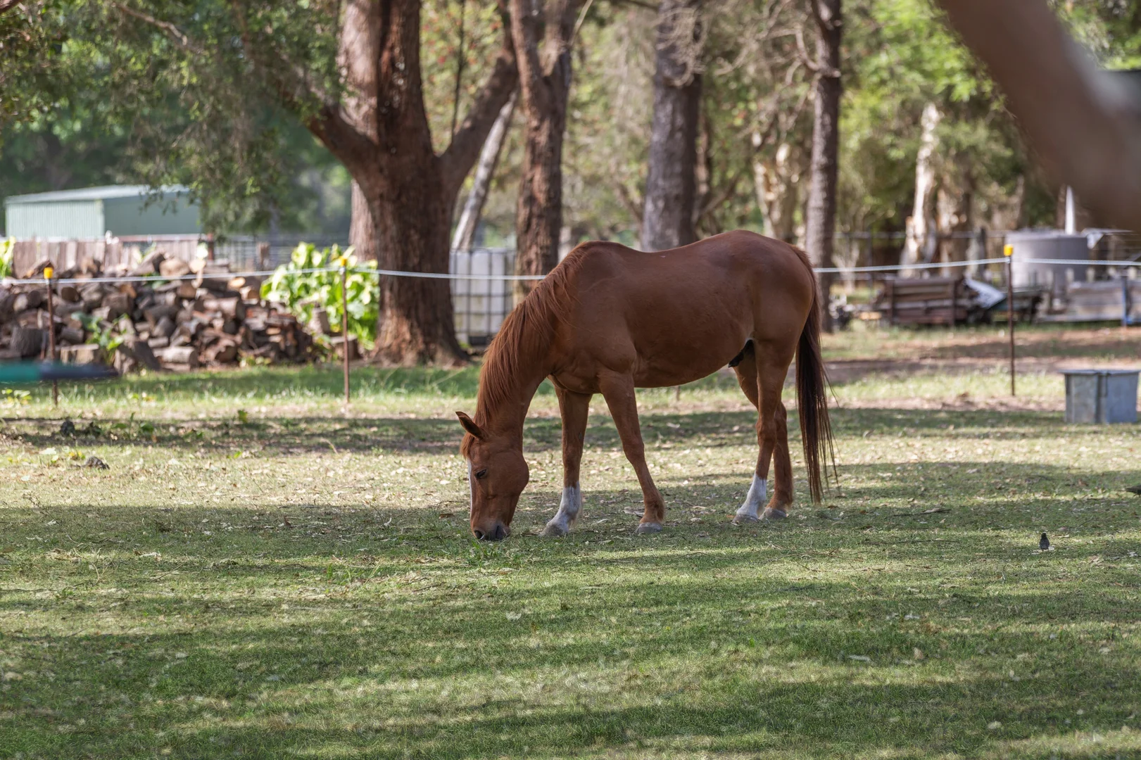 Additional image 30 of 95 Jaspers Brush Road, Jaspers Brush NSW 2535